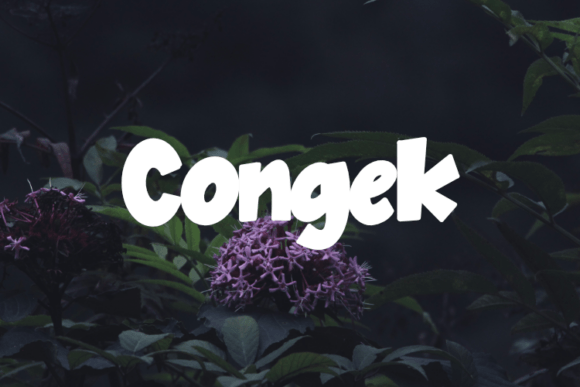 Congek: The Creative Font That Elevates Your Brand Identity
