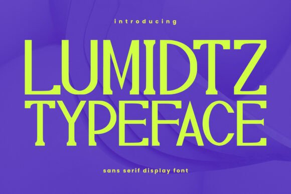 Lumidtz: The Modern Display Font for Professional Branding